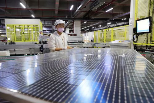 合肥進(jìn)出口總值首破3000億元 軟件產(chǎn)業(yè)的崛起與未來展望