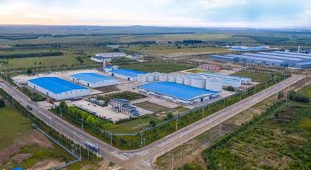 恒大糧油榮獲“深圳市重點農業龍頭企業”稱號，加碼布局優質蔬菜產業